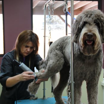 Barks & Bubbles - Pet Groomers Near Me - Santa Fe, New Mexico