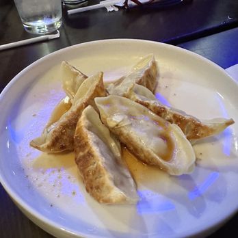Sakura Sushi & Grill - Gyoza - Japanese Near Me - Tallahassee, Florida Sakura Sushi & Grill - Gyoza - Japanese Near Me - Tallahassee, Florida