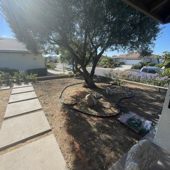 Seal Team One - Stepping stones - Grout Services Near Me - San Diego, California Seal Team One - Stepping stones - Grout Services Near Me - San Diego, California