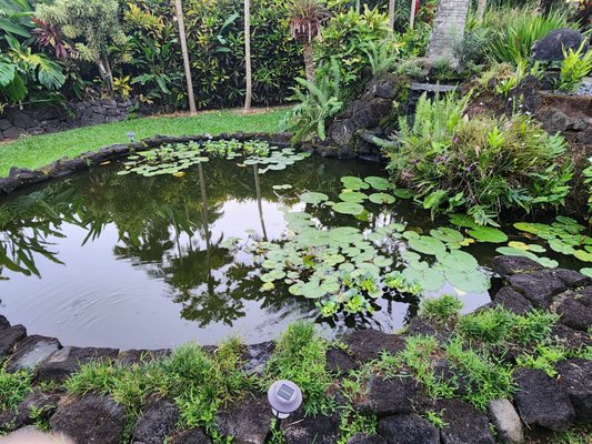 Orchid Tree Bed & Breakfast by null