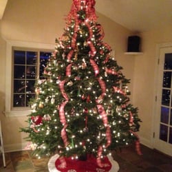 Pine Hill Farms - Last years tree, I think it was about 10 ft. Fraser Fur.