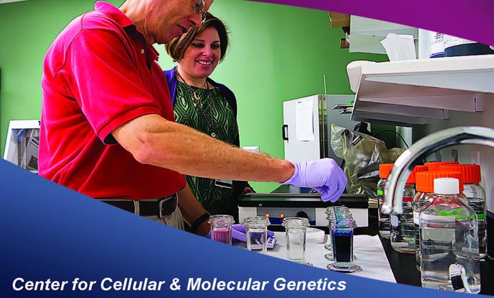 HEALTH NETWORK LABORATORIES Updated August 2024 497 Gateway Ave, Chambersburg, Pennsylvania