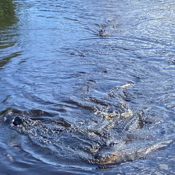 Corey Billie's Airboat Rides - Boat Tours Near Me - Collier, Florida Corey Billie's Airboat Rides - Boat Tours Near Me - Collier, Florida