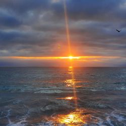 Carlsbad City Beach