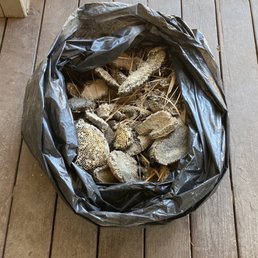 Ewww all the nests!