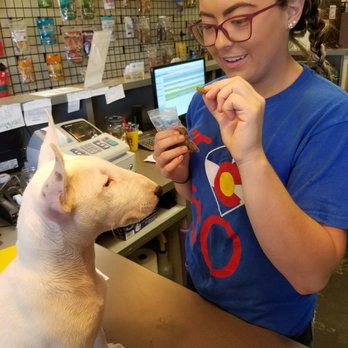 Spawlash Pet Salon - Pet Groomers Near Me - Northglenn, Colorado Spawlash Pet Salon - Pet Groomers Near Me - Northglenn, Colorado
