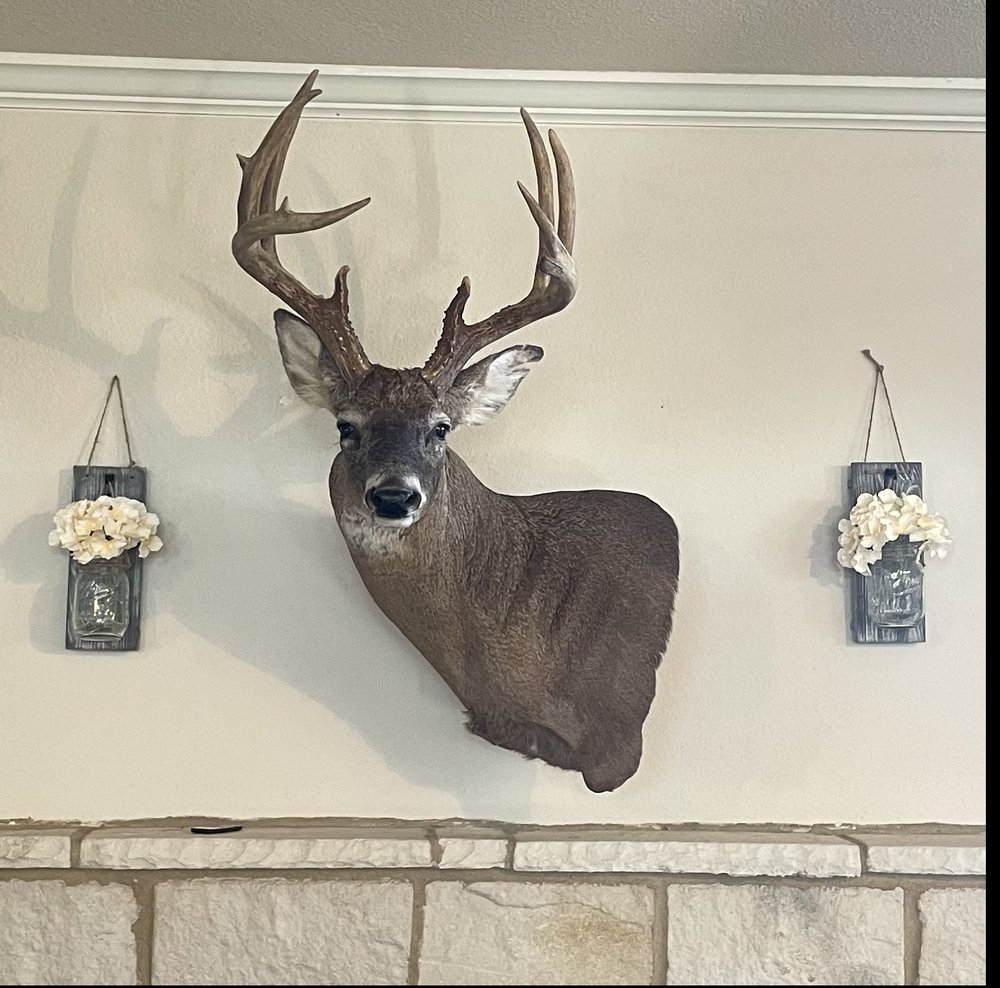 Double B Taxidermy - taxidermy in Goliad, TX