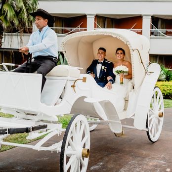 Yellow Umbrella Events - Kayla & Juan carriage ride to the ceremony at Hard Rock Riviera Maya - Party & Event Planning Near Me - New Braunfels, Texas Yellow Umbrella Events - Kayla & Juan carriage ride to the ceremony at Hard Rock Riviera Maya - Party & Event Planning Near Me - New Braunfels, Texas