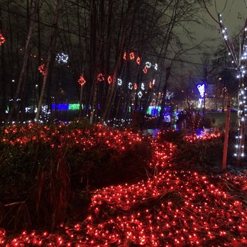 Lights at Lafarge - Local Flavor Near Me - Coquitlam, British Columbia Lights at Lafarge - Local Flavor Near Me - Coquitlam, British Columbia