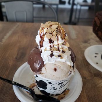 The Yard Milkshake Bar - Sea turtle Sundae - Ice Cream & Frozen Yogurt Near Me - Phoenix, Arizona