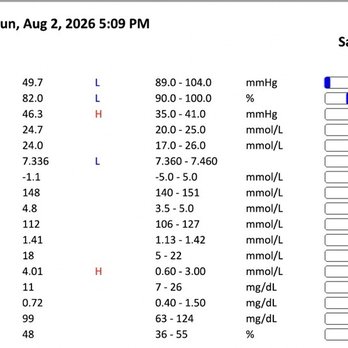 Capital Pet Urgent Care - Labs showing respiratory depression, elevated lactate - Veterinarians Near Me - Olympia, Washington Capital Pet Urgent Care - Labs showing respiratory depression, elevated lactate - Veterinarians Near Me - Olympia, Washington