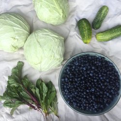 Marsh River - Fall bounty