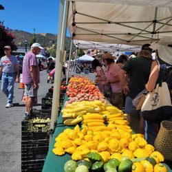 Martinez Farmers' Market - Squash def in season