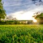 Johns Lawn Care