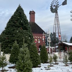 Red Barn Tree Farm - Barn and train area