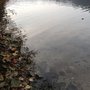 Photo of Garrensee