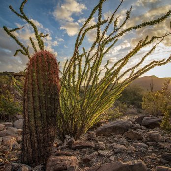 Skyline Regional Park - Hiking Near Me - Buckeye, Arizona Skyline Regional Park - Hiking Near Me - Buckeye, Arizona
