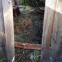 Photo of Ron's Stump Removal & Tree Service