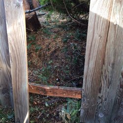 Ron's Stump Removal & Tree Service