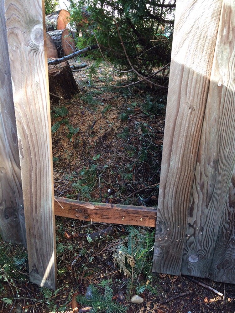 Ron's Stump Removal & Tree Service - tree service in Tenino, WA