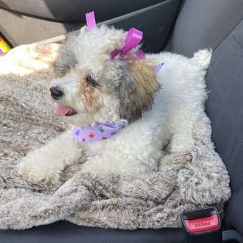 Muddy Paws OC - Pet Groomers Near Me - Orange, California Muddy Paws OC - Pet Groomers Near Me - Orange, California