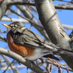 Marie Curtis Park