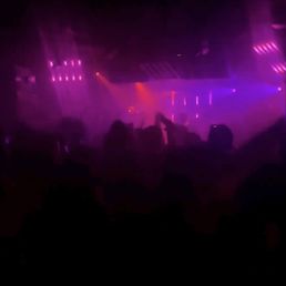 a crowd of people at a concert a crowd of people at a concert