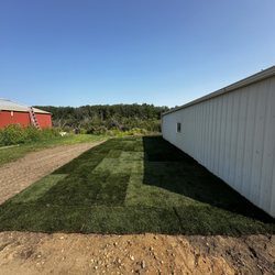 Rooted Sod