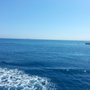 Photo of Traghetto Toremar