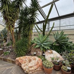 Howard Peters Rawlings Conservatory and Botanic Gardens - Desert room