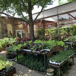 Guardado Landscaping - Lots of variety