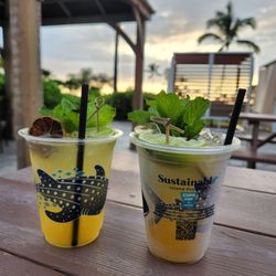 Āina Ritas