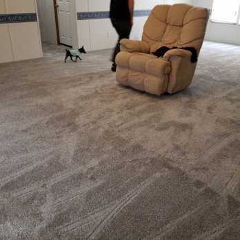 Romanoff Renovations - a man in a living room with a cat - Flooring Near Me - Memphis, Tennessee Romanoff Renovations - a man in a living room with a cat - Flooring Near Me - Memphis, Tennessee