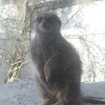 Dublin Zoo - Zoos Near Me - Dublin, D Dublin Zoo - Zoos Near Me - Dublin, D