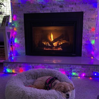 Tacoma Fireplace - Fireplace after being serviced, my pups new favorite spot. - Fireplace Services Near Me - Tacoma, Washington
