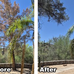 Cutter Tree Service