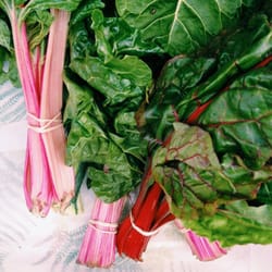 Clintonville Farmers Market