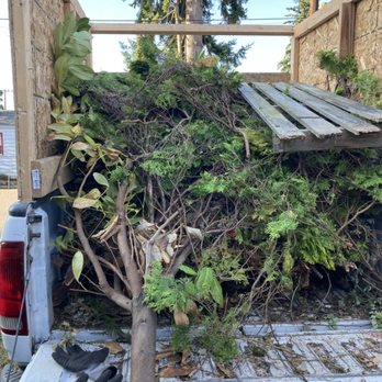 Mr Steve Junk Removal - Yard debris removal - Junk Removal & Hauling Near Me