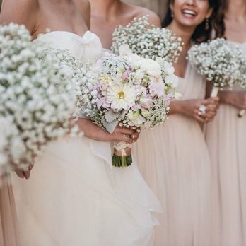 Who What Wed - Wedding Planning Near Me Who What Wed - Wedding Planning Near Me