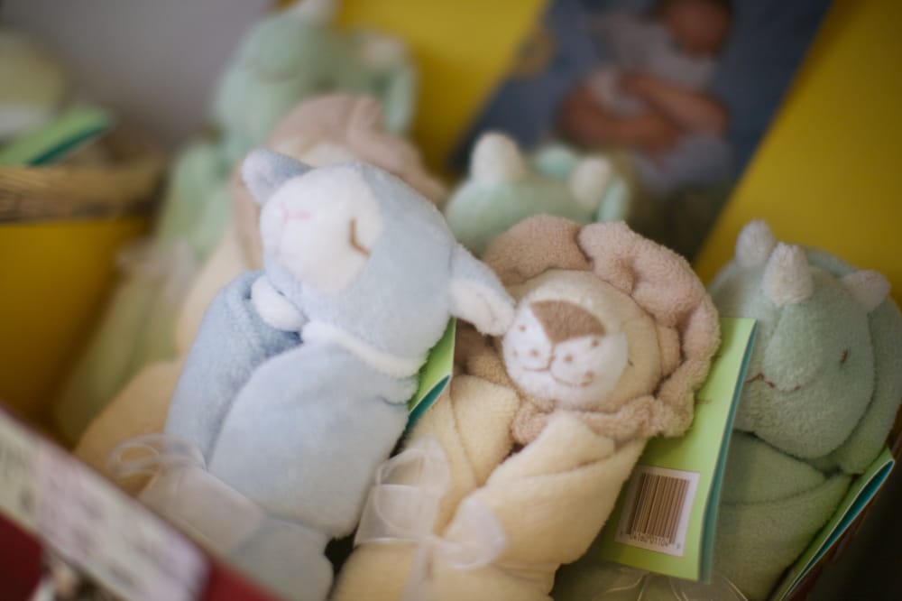 PITTER PATTER Updated August 2024 17 Photos 94 Front St, Bath