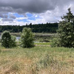 Killin Wetlands Nature Park - Killin Wetlands Nature Park