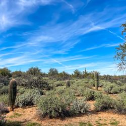 McDowell Mountain Regional Park - #YelpElite #Yelp #Hike