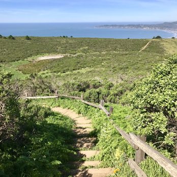 Matt Davis-Steep Ravine Loop - Dipsea trail. Beautiful ocean views - Hiking Near Me - Stinson Beach, California Matt Davis-Steep Ravine Loop - Dipsea trail. Beautiful ocean views - Hiking Near Me - Stinson Beach, California