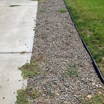 Ace landscaping - This is what it look six weeks after their work. - Tree Services Near Me Ace landscaping - This is what it look six weeks after their work. - Tree Services Near Me