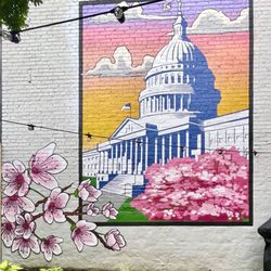 Grand Buffet Studio - Backyard DC themed private mural commission with Cherry blossoms for our clients in North Capital in Washington DC