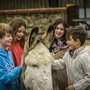 Photo of The Donkey Sanctuary