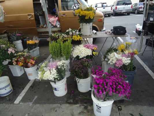 Downtown Oxnard Farmers Market by null