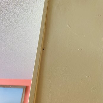 Larrowe Property Management - Bugs in room rented from Management Company through Airbnb - Vacation Rental Agents Near Me - Myrtle Beach, South Carolina Larrowe Property Management - Bugs in room rented from Management Company through Airbnb - Vacation Rental Agents Near Me - Myrtle Beach, South Carolina