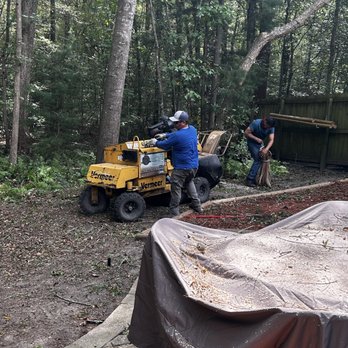 R&R Tree Services - two men working on a tree - Tree Services Near Me - Summerville, South Carolina