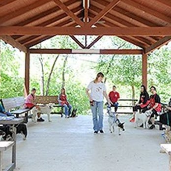 What An Obedient Dog! - Rebeccah teaching the loose leash walking
segment of the dog obedience classes at
Operation Kindness. - Pet Training Near Me - Carrollton, Texas What An Obedient Dog! - Rebeccah teaching the loose leash walking
segment of the dog obedience classes at
Operation Kindness. - Pet Training Near Me - Carrollton, Texas